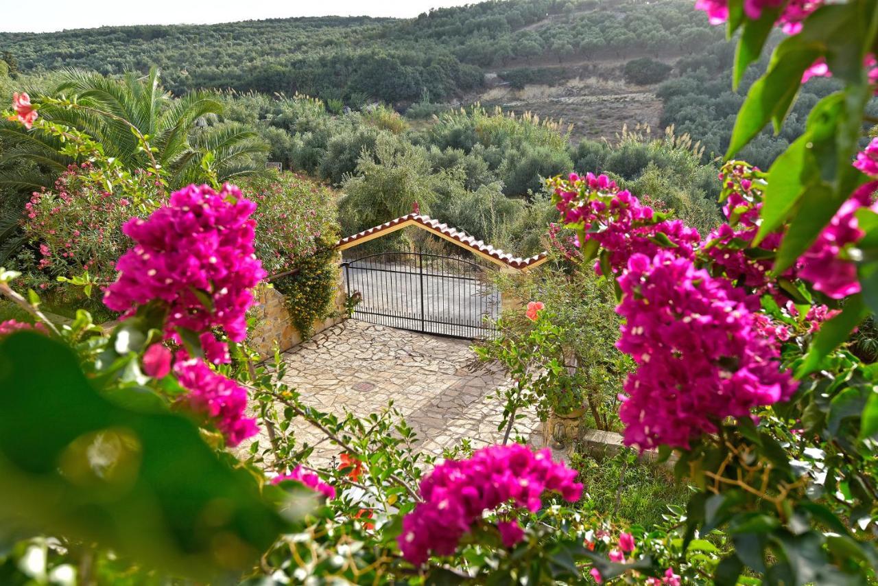 Olive Farm Villa Agia Marina Eksteriør billede