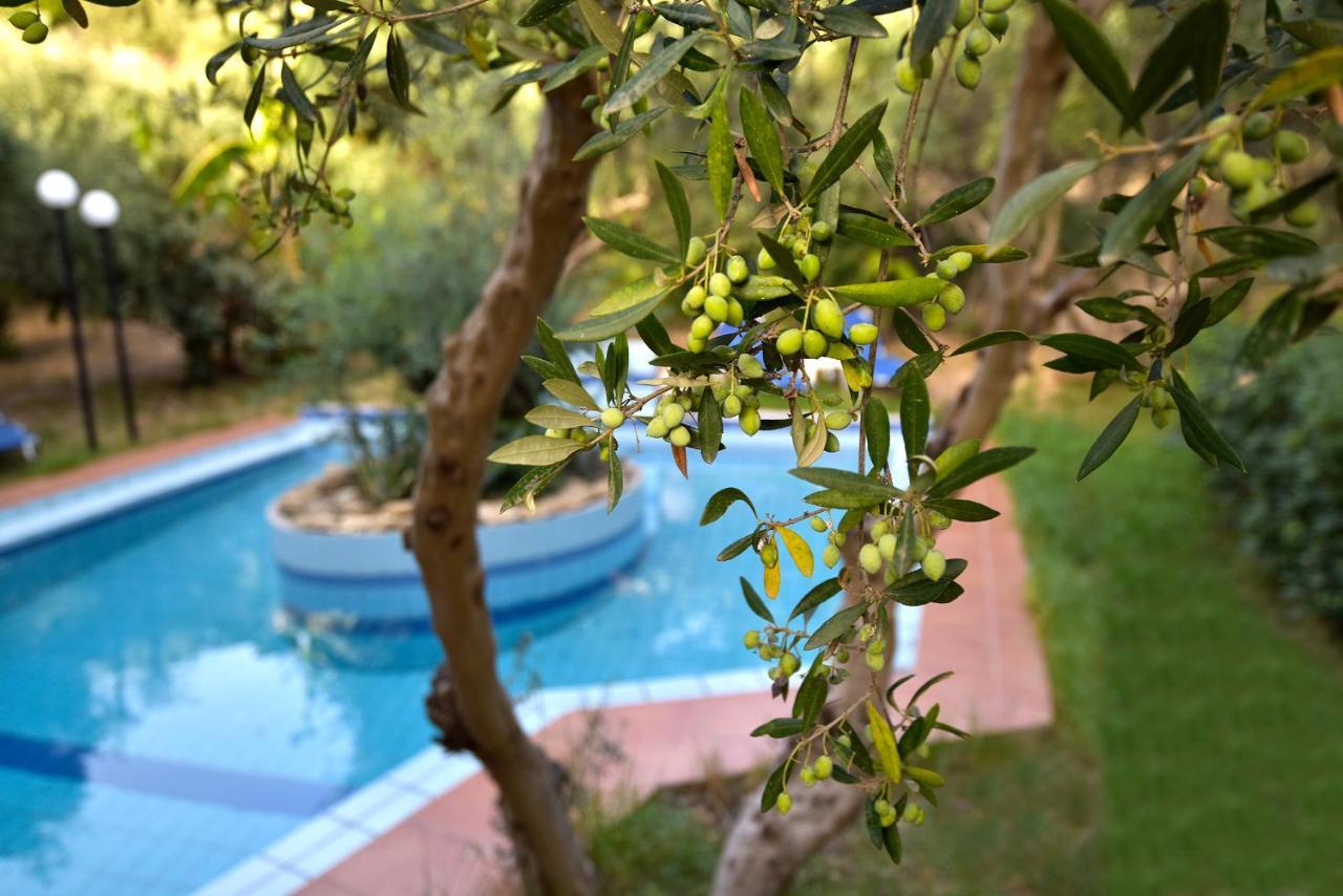 Olive Farm Villa Agia Marina Eksteriør billede