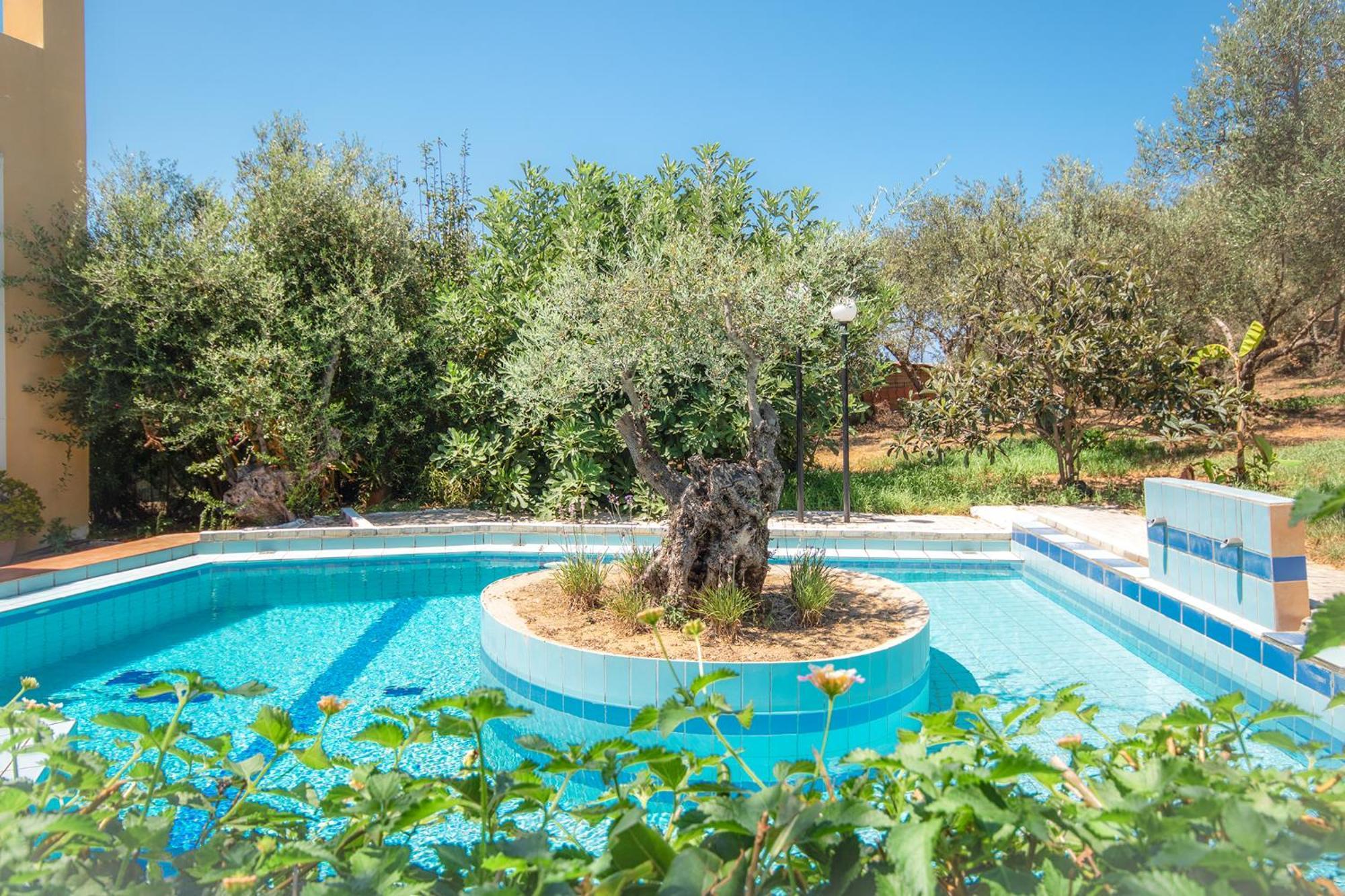 Olive Farm Villa Agia Marina Eksteriør billede