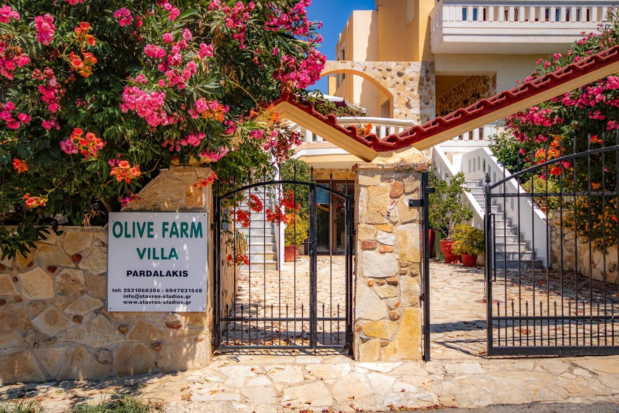 Olive Farm Villa Agia Marina Eksteriør billede